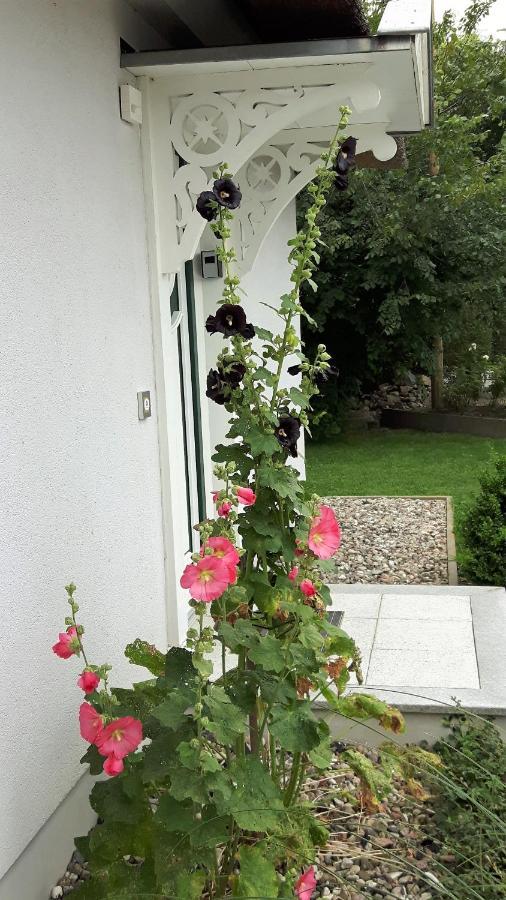 Ferienhaeuser Salzhaff-Romantik Tessmannsdorf Bagian luar foto